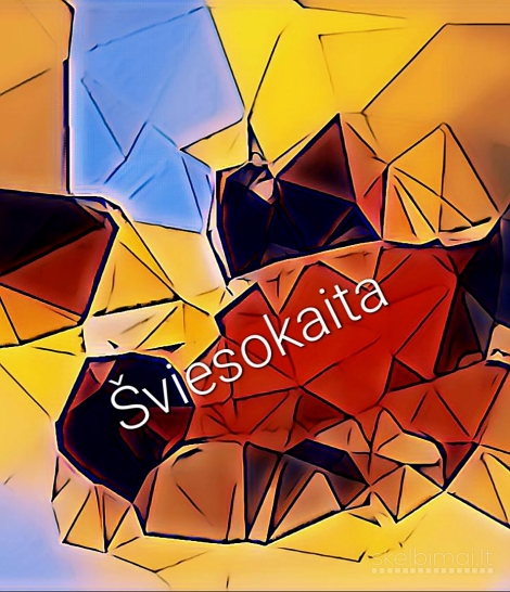 Sienų meninė apdaila, projektiniai pasiūlymai