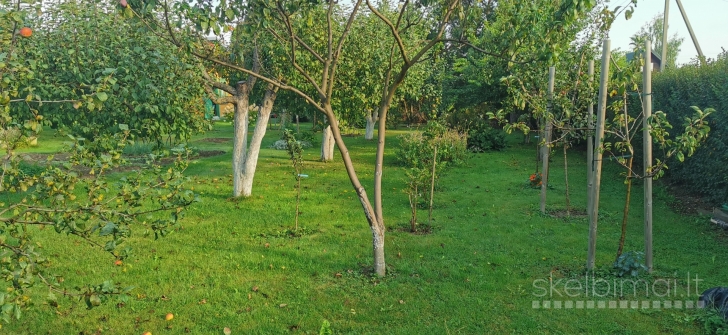 Sodas Daukniškių k.,Panevėžio r.sav.