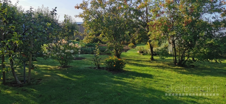 Sodas Daukniškių k.,Panevėžio r.sav.