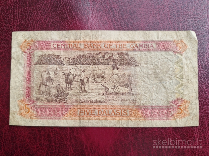 5 Dalasis 1996 Gambija P-16a