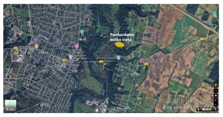 Parduodamas miškas Minijos slėnyje, šalia Gargždų.
