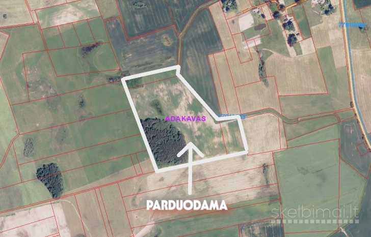 PARDUODAMAS ŽEMĖS ŪKIO PASKIRTIES SKLYPAS 11,6608 HA BŪTENIŲ KM. TAURAGĖS RAJ