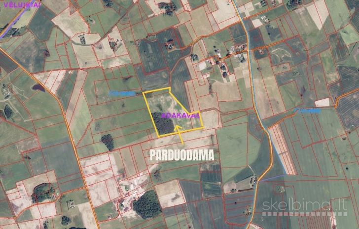 PARDUODAMAS ŽEMĖS ŪKIO PASKIRTIES SKLYPAS 11,6608 HA BŪTENIŲ KM. TAURAGĖS RAJ