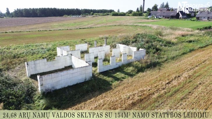 Greitas gyvenimo tempas mieste ir šurmulys vargina?
