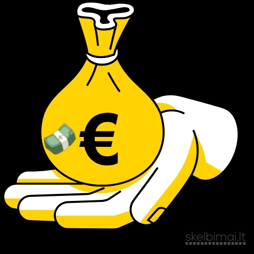 privatus finansavimas 