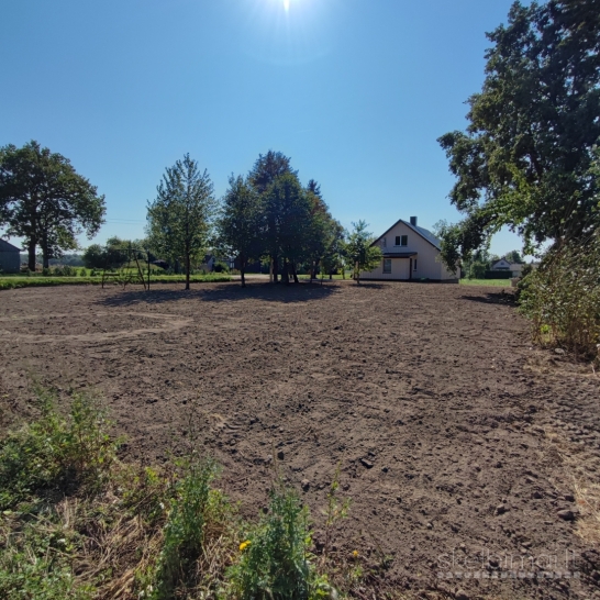 Ekskavatoriaus paslaugos 