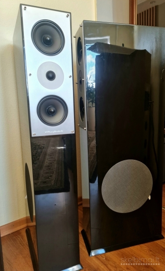 Wharfidale Onyx 300