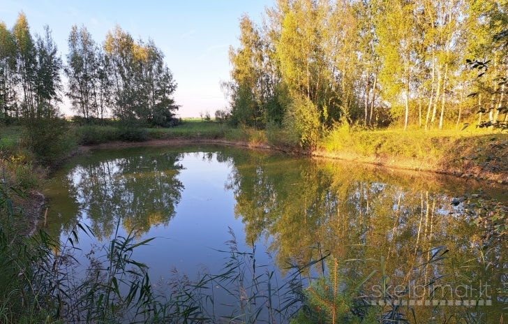 Išnuomojama sodyba medžių apsuptyje su 4 telkiniais ir 8 ha sklypu,