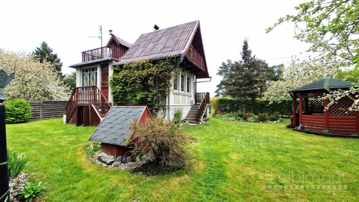 NT Klaipėdoje / paruodamas sodas Dituvoje