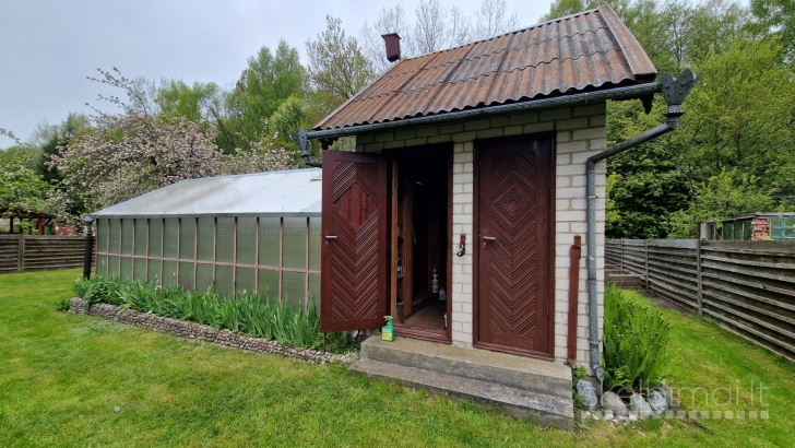 NT Klaipėdoje / paruodamas sodas Dituvoje