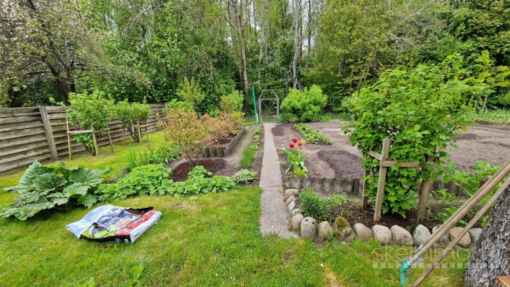 NT Klaipėdoje / paruodamas sodas Dituvoje