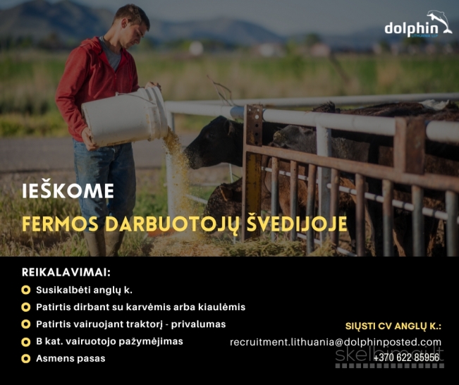 Darbas fermose Švedijoje – ieškome darbuotojų su gyvūnais