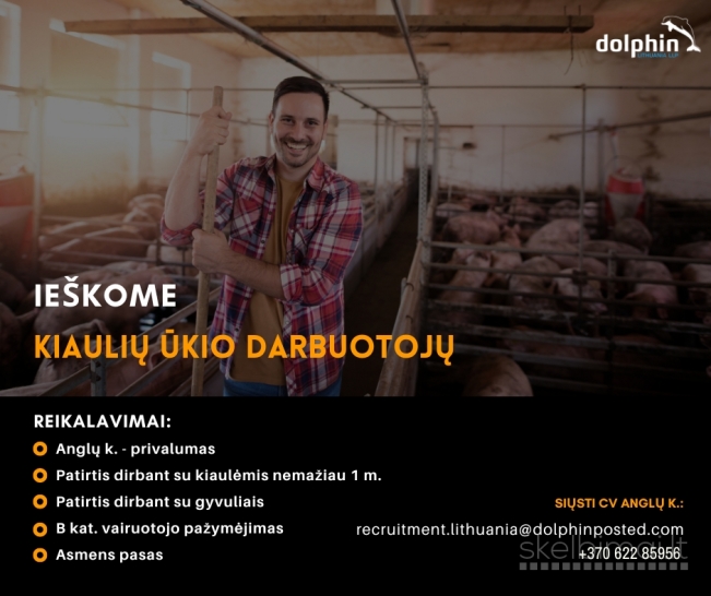 Darbas kiaulių ūkyje Švedijoje – ieškome motyvuotų darbuotojų