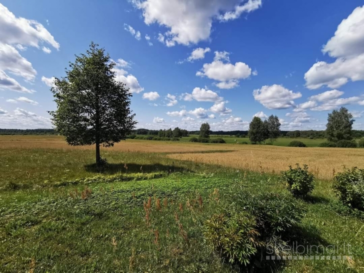 6.5ha Žemės ūkio sklypas