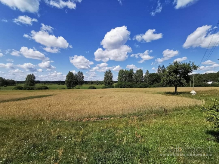 6.5ha Žemės ūkio sklypas