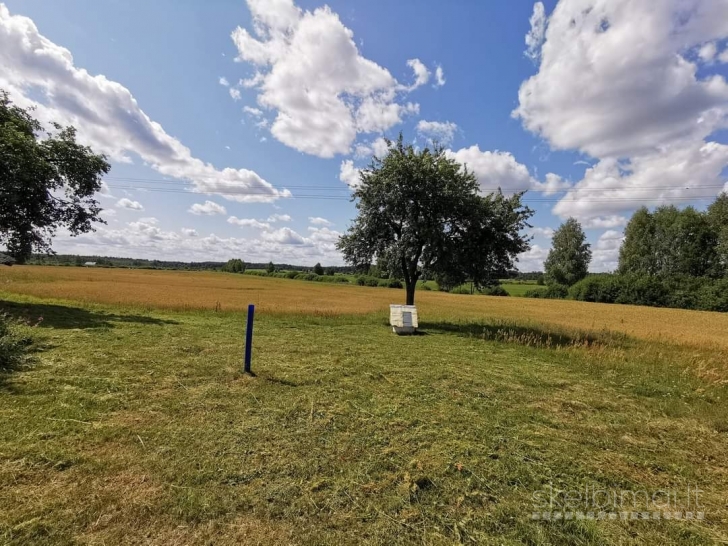 6.5ha Žemės ūkio sklypas