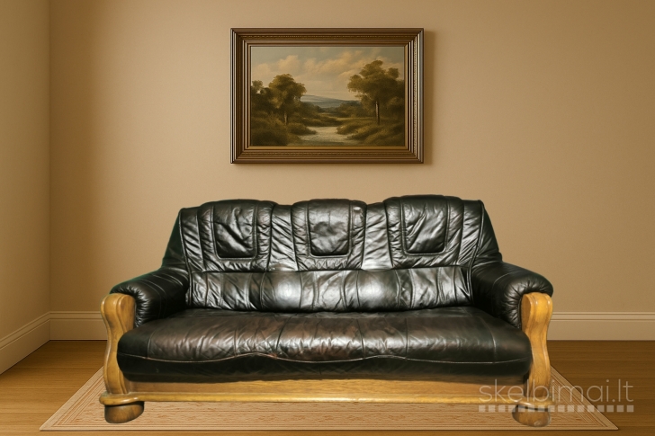  Odinė sofa 