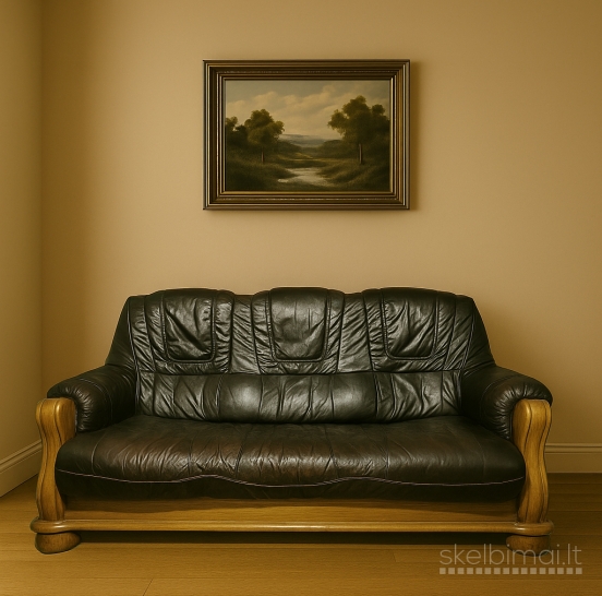  Odinė sofa 