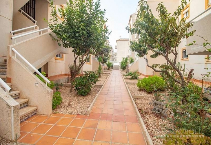 Butas su vaizdu į jūrą Torrevieja,Ispanija