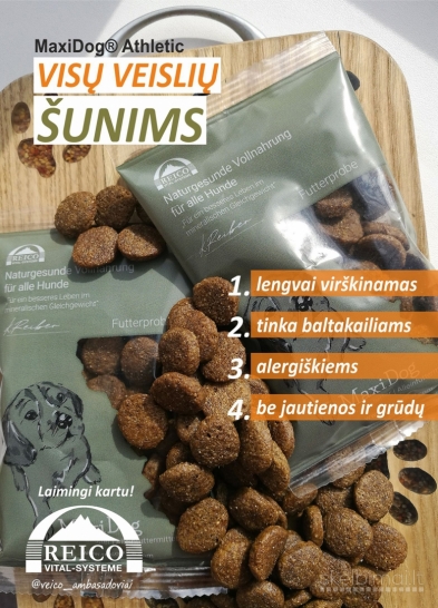 Konsultacijos augintinių priežiūros, veisimo, pasiruošimo parodoms klausimais