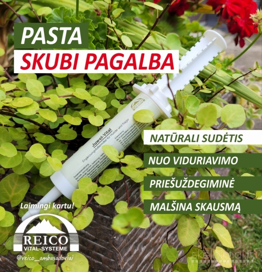 Konsultacijos augintinių priežiūros, veisimo, pasiruošimo parodoms klausimais