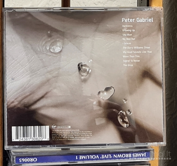 Peter Gabriel