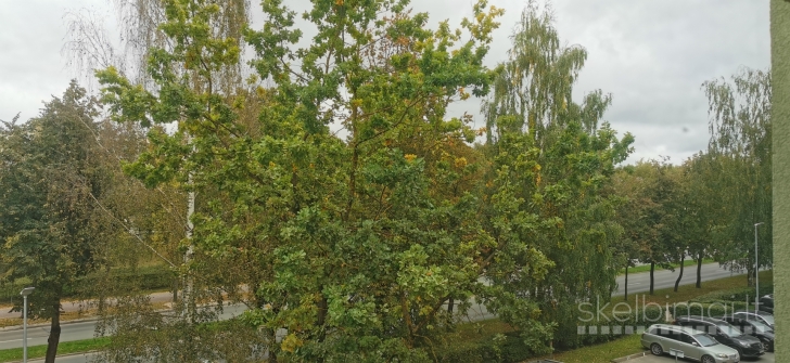 trijų kambarių butas Panevėžio m.