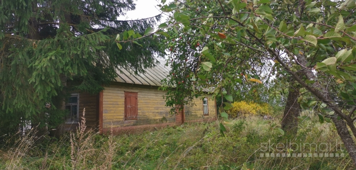 Parduodama sodyba Ringužio g. 7, Nibragalio k., Miežiškių sen., Panevėžio raj.