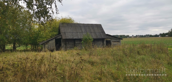 Parduodama sodyba Ringužio g. 7, Nibragalio k., Miežiškių sen., Panevėžio raj.