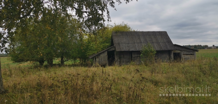 Parduodama sodyba Ringužio g. 7, Nibragalio k., Miežiškių sen., Panevėžio raj.