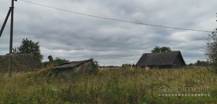 Parduodama sodyba Ringužio g. 7, Nibragalio k., Miežiškių sen., Panevėžio raj.