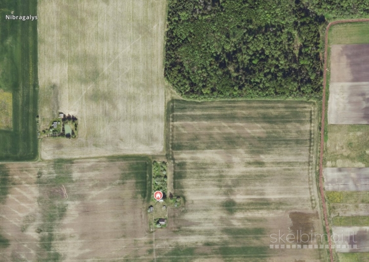 Parduodama sodyba Ringužio g. 7, Nibragalio k., Miežiškių sen., Panevėžio raj.