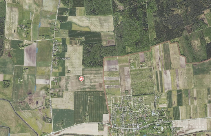 Parduodama sodyba Ringužio g. 7, Nibragalio k., Miežiškių sen., Panevėžio raj.