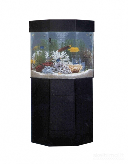 Apvalus akvariumas unikalaus kupolo, JAV, naujas