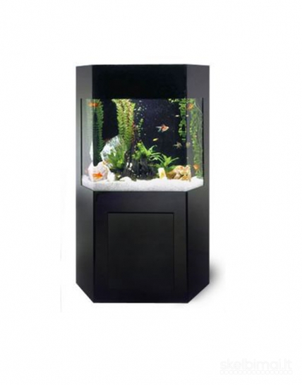 Didelis akrilinis akvariumas 400L skaidrus, JAV, naujas