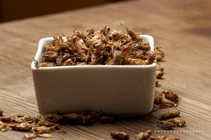 DŽIOVINTI SVIRPLIAI – NATŪRALUS IR MAISTINGAS PAŠARAS GYVŪNAMS