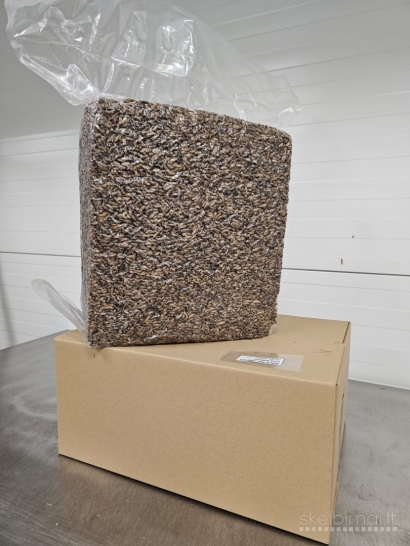 DŽIOVINTI SVIRPLIAI – NATŪRALUS IR MAISTINGAS PAŠARAS GYVŪNAMS