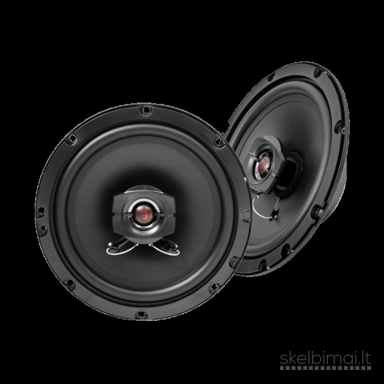 Bass Habit Rebel R165