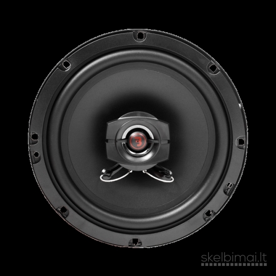 Bass Habit Rebel R165