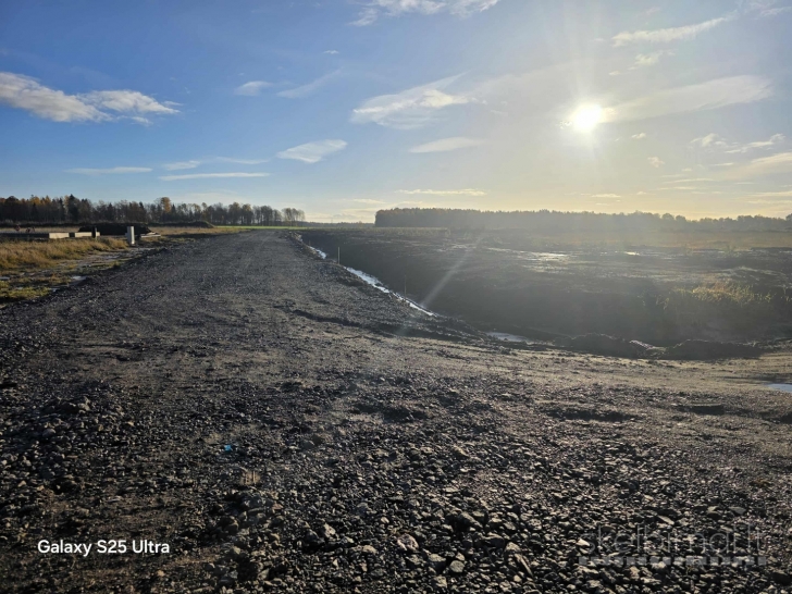 PAVENČIŲ G. PABAIGOJE, LAURŲ KVARTALE, MAŽEIKIUOSE PARDUODAMI 10 A. SKLYPAI