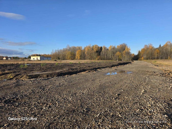 PAVENČIŲ G. PABAIGOJE, LAURŲ KVARTALE, MAŽEIKIUOSE PARDUODAMI 10 A. SKLYPAI