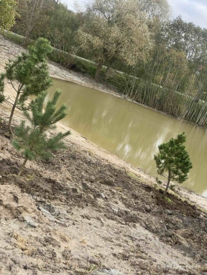 SKUBEI  PARDUODAMAS SKLYPAS PRIE PLATELIŲ EŽERO!