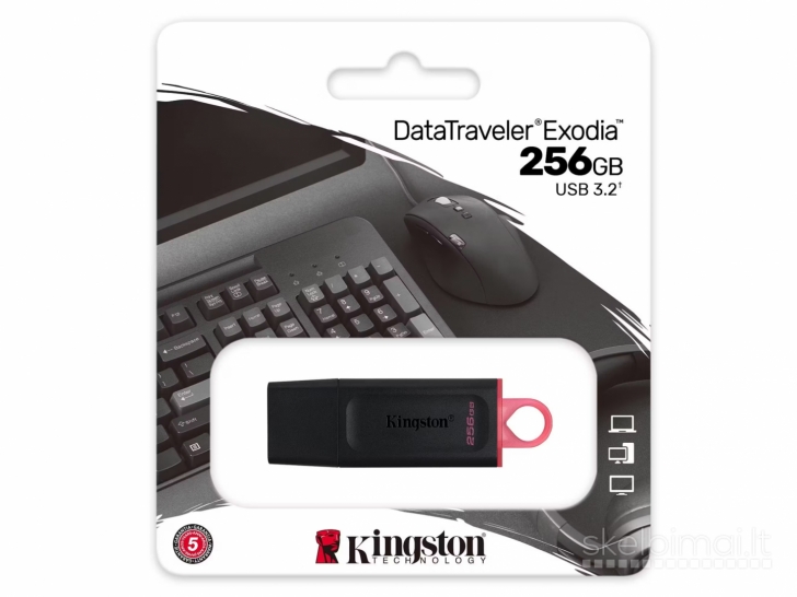 Originalus Kingston USB flash raktelis atmintukas 256 GB