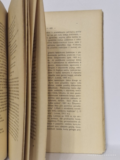 Knyga Lenkų Literatūra 1795-1905 1926m.