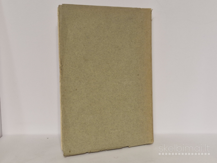 Knyga Lenkų Literatūra 1795-1905 1926m.