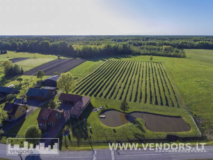 PARDUODAMAS SAUSMEDŽIŲ ŪKIS RIETAVO SAV., ŽADVAINIŲ K., JŪROS G.