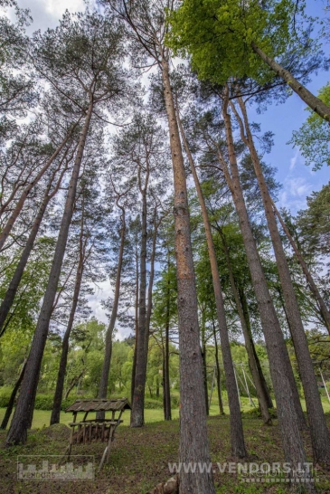 PARDUODAMI ŽEMĖS SKLYPAI KAČERGINĖJE, J.JANONIO G.