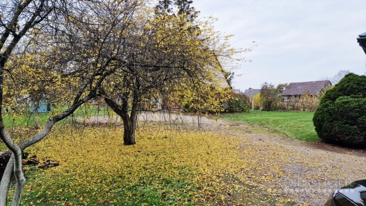 Parduodamas namas Stoties g., Daujėnuose