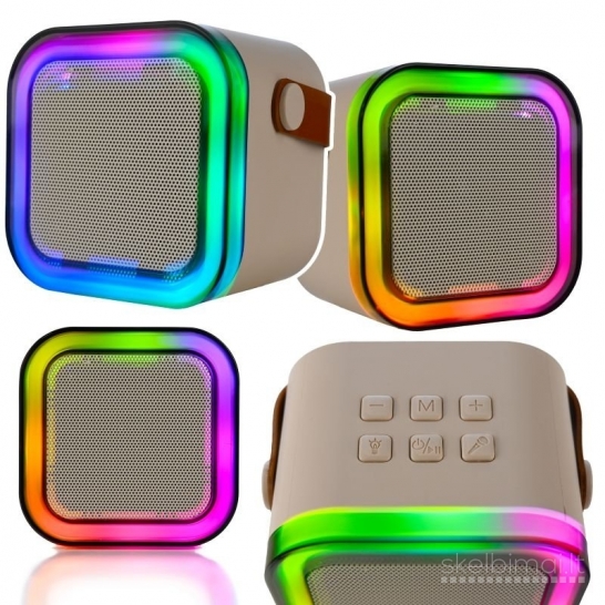 Belaidis karaoke garsiakalbis su 2 mikrofonais