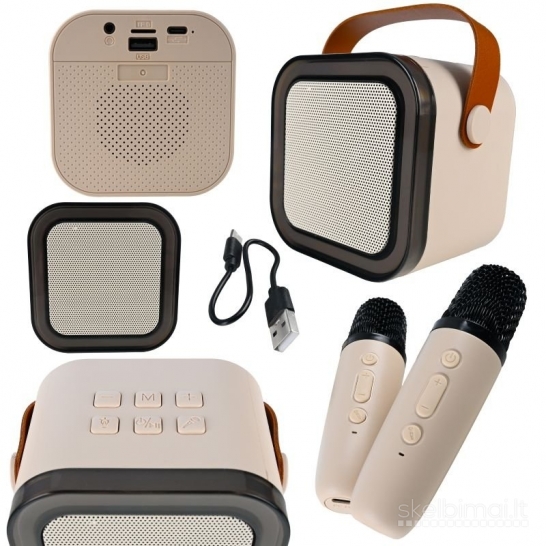 Belaidis karaoke garsiakalbis su 2 mikrofonais